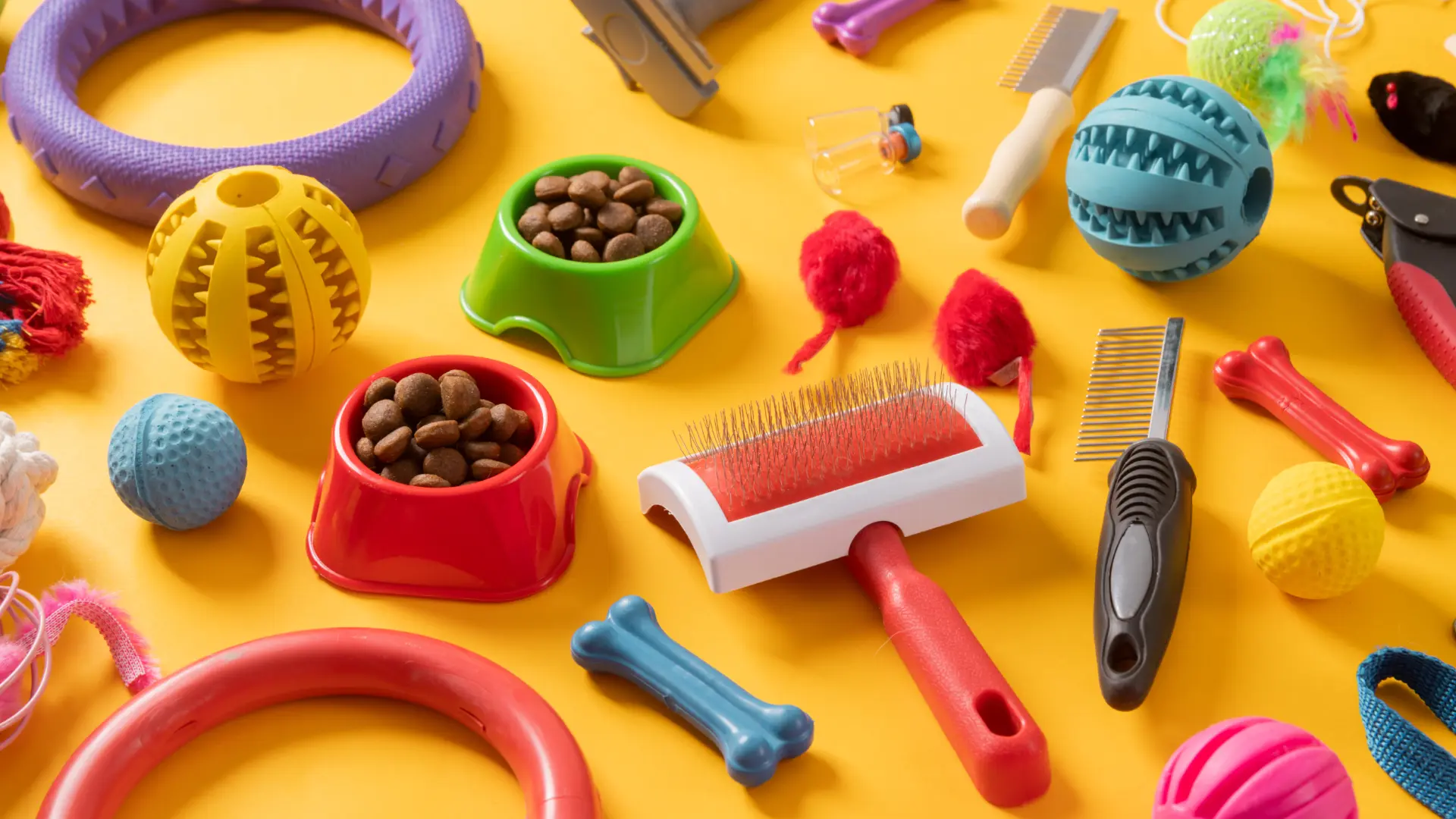 Produtos e acessórios para pets para importar